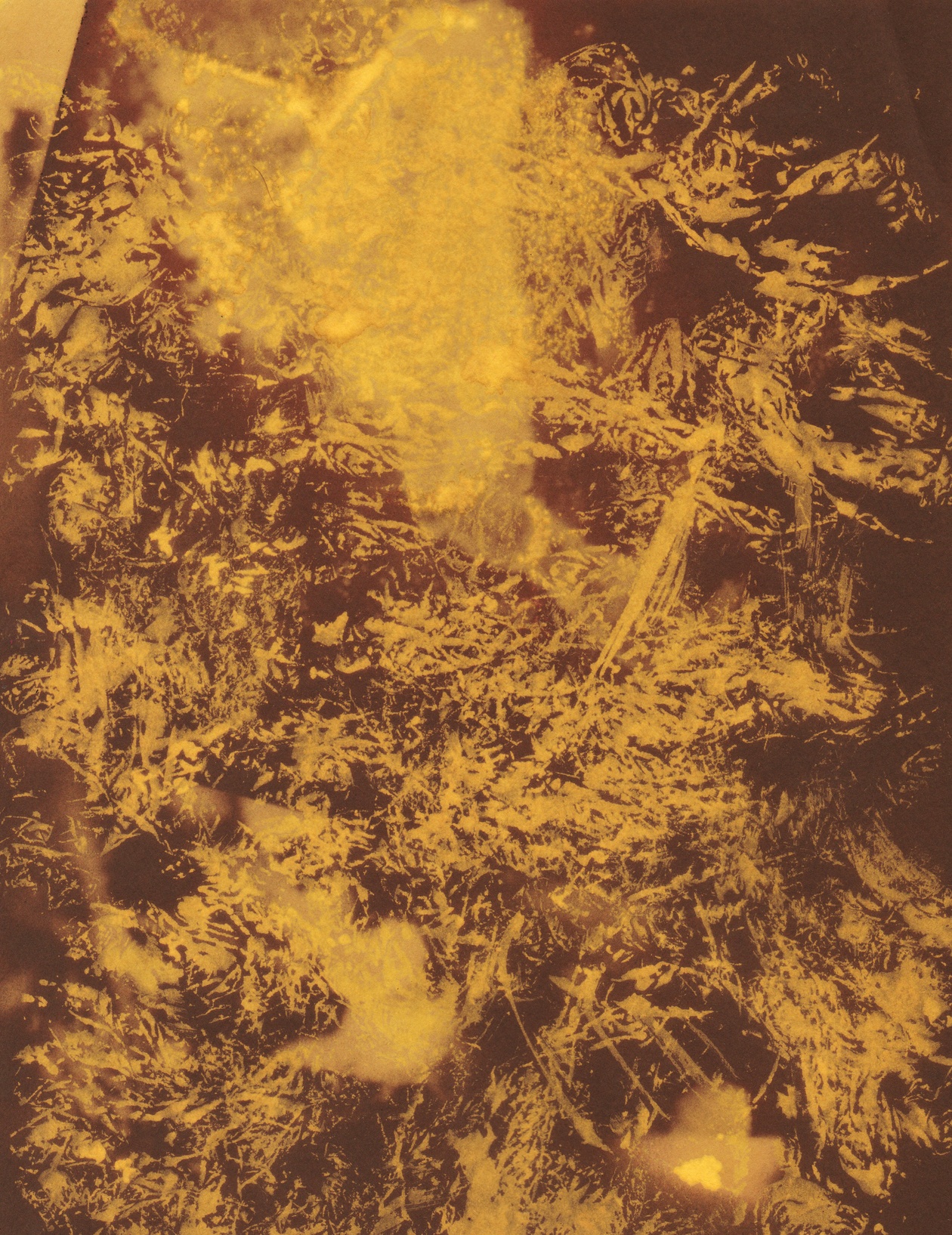 Bleached paper texture Photoshop brush