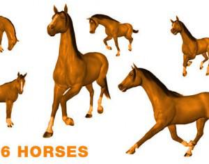 6 HORSE BRUSHES Photoshop brush