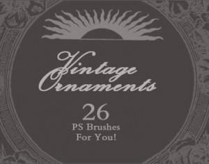 Vintage Ornaments  Photoshop brush