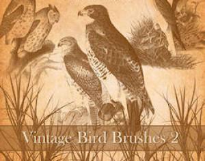 Vintage Bird Brushes 2 Photoshop brush