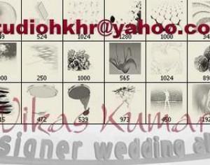 HKHR - Miscellaneous Brushes  Photoshop brush