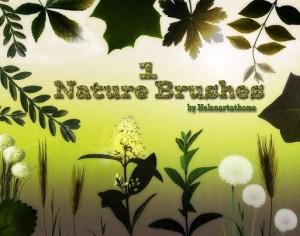 Nature1 Brushes Photoshop brush