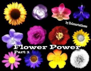 Flower Power2 Photoshop brush