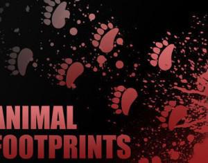 Individual Animal Footprint Brushes Photoshop brush