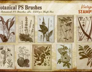 Vintage Botanical PS Brushes abr. Photoshop brush