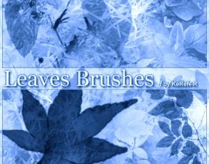 Leaves Brushes Photoshop brush