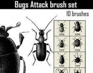 Bugs Attack Photoshop brush