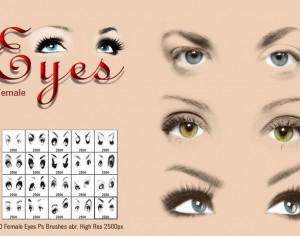 Female Eyes Ps Brushes abr. Photoshop brush