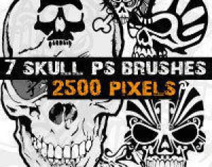 Skull Brushes Photoshop  Photoshop brush