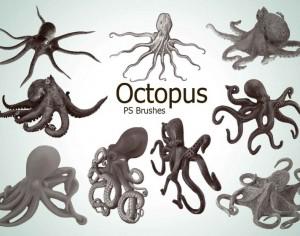 20 Octopus PS Brushes abr.vol.3 Photoshop brush
