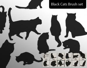 Free Black Cat Brush Set