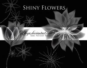 Free Shiny Flowers