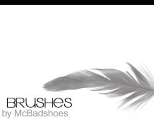 Free Feather Brushes