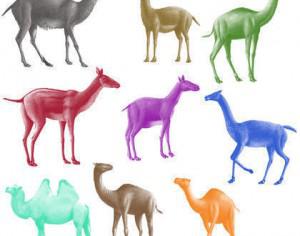 Camel Brushes Photoshop brush