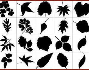 Leaf Silhouettes Free Brush Pack Photoshop brush