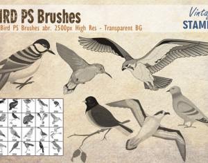 Bird PS Brushes Photoshop brush