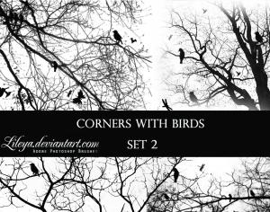 Free Corners with Birds 2