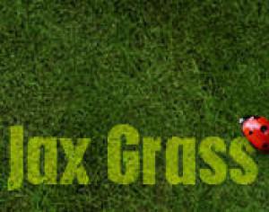 Jax Grass Brushes Photoshop brush