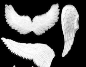 Angel Wings 2 Photoshop brush
