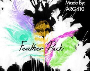 Beautiful Feather Brush Pack (6 Feathers) Photoshop brush