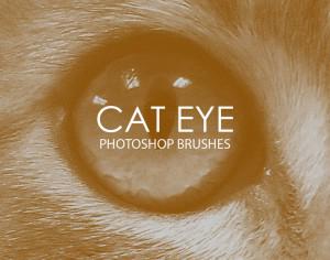 Free Cat Eye Photoshop Brushes Photoshop brush