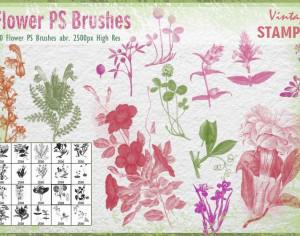 Vintage Flower PS Brushes abr. Photoshop brush
