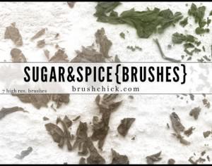 Sugar & Spice Photoshop brush