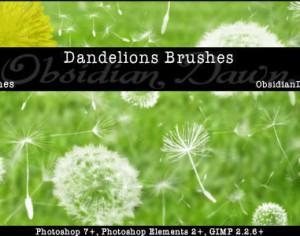 Dandelions Photoshop Brushes Photoshop brush