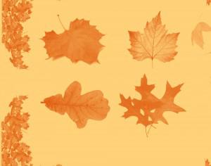 Autumn Leaf Brushset Photoshop brush