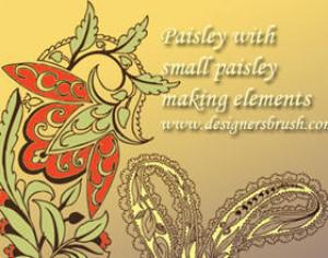Paisley with small paisley decorative motif Photoshop brush