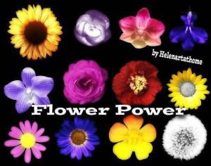 Flower Power1 Photoshop brush