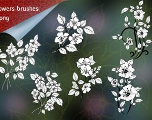 Pack of 6 Flowers Brushes Photoshop brush