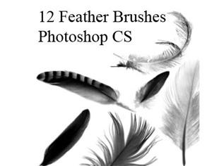 Feather Brushes Photoshop brush