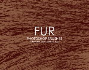 Free Fur Photoshop brushes Photoshop brush