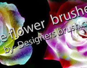 Rose flower brushes Photoshop brush