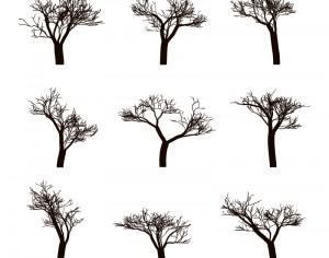 Dead trees Silhouettes Photoshop brush