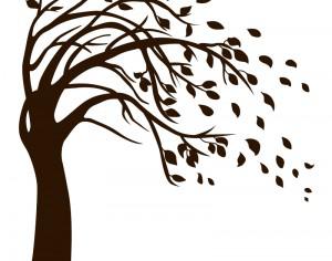 Isolated Black Tree Photoshop brush