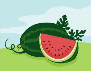 Vector illustration of Watermelon Photoshop brush