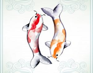 Illustration with watercolor koi fish  Photoshop brush