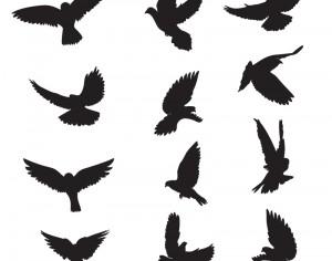 Set of silhouettes of doves Photoshop brush