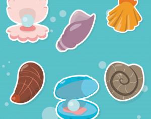Sea shells Photoshop brush