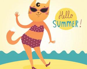 Hello Summer vector card with funny cat Photoshop brush