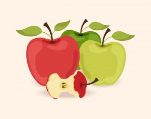 Vector illustration with apples Photoshop brush