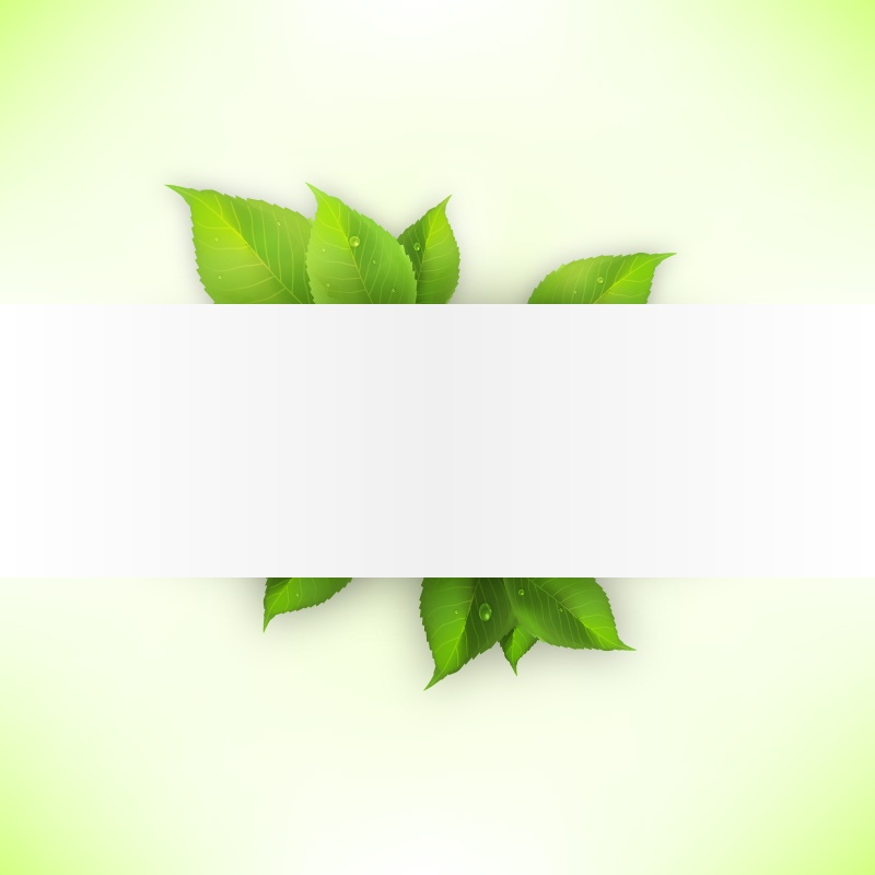 Realistic green leaves banner Photoshop brush