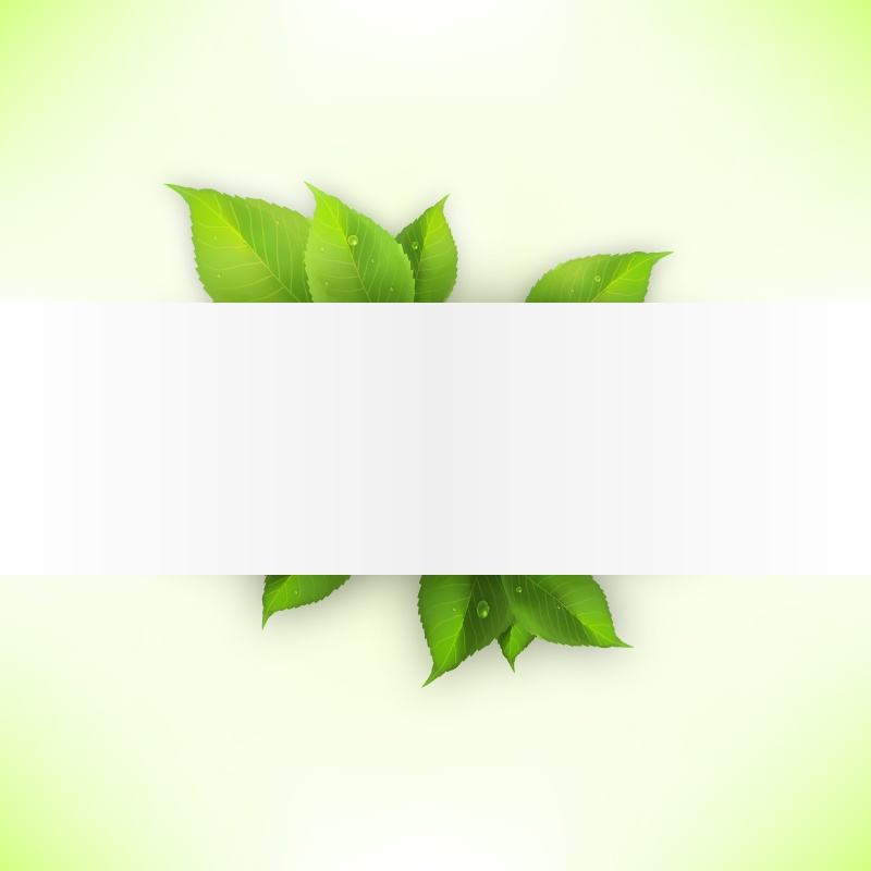 realistic green leaves banner