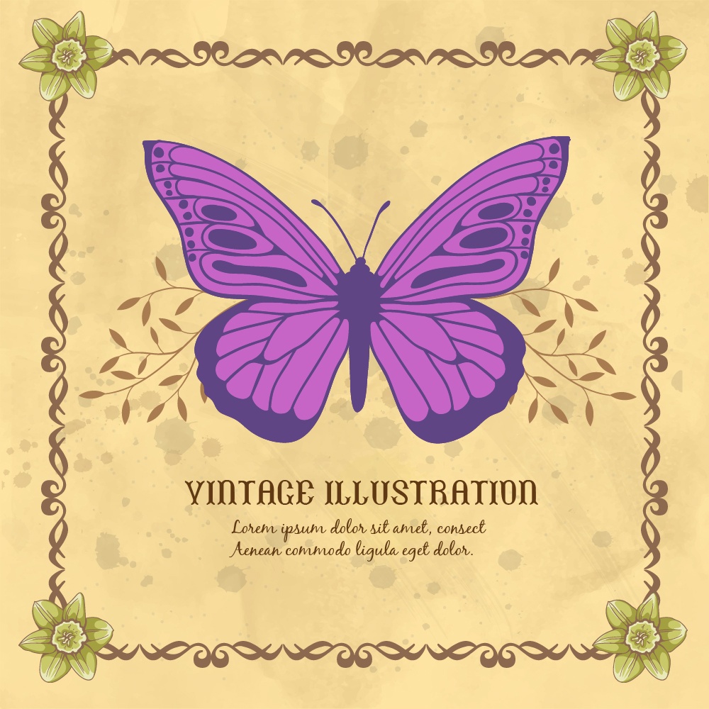 Vintage frame with butterflies and typography Photoshop brush