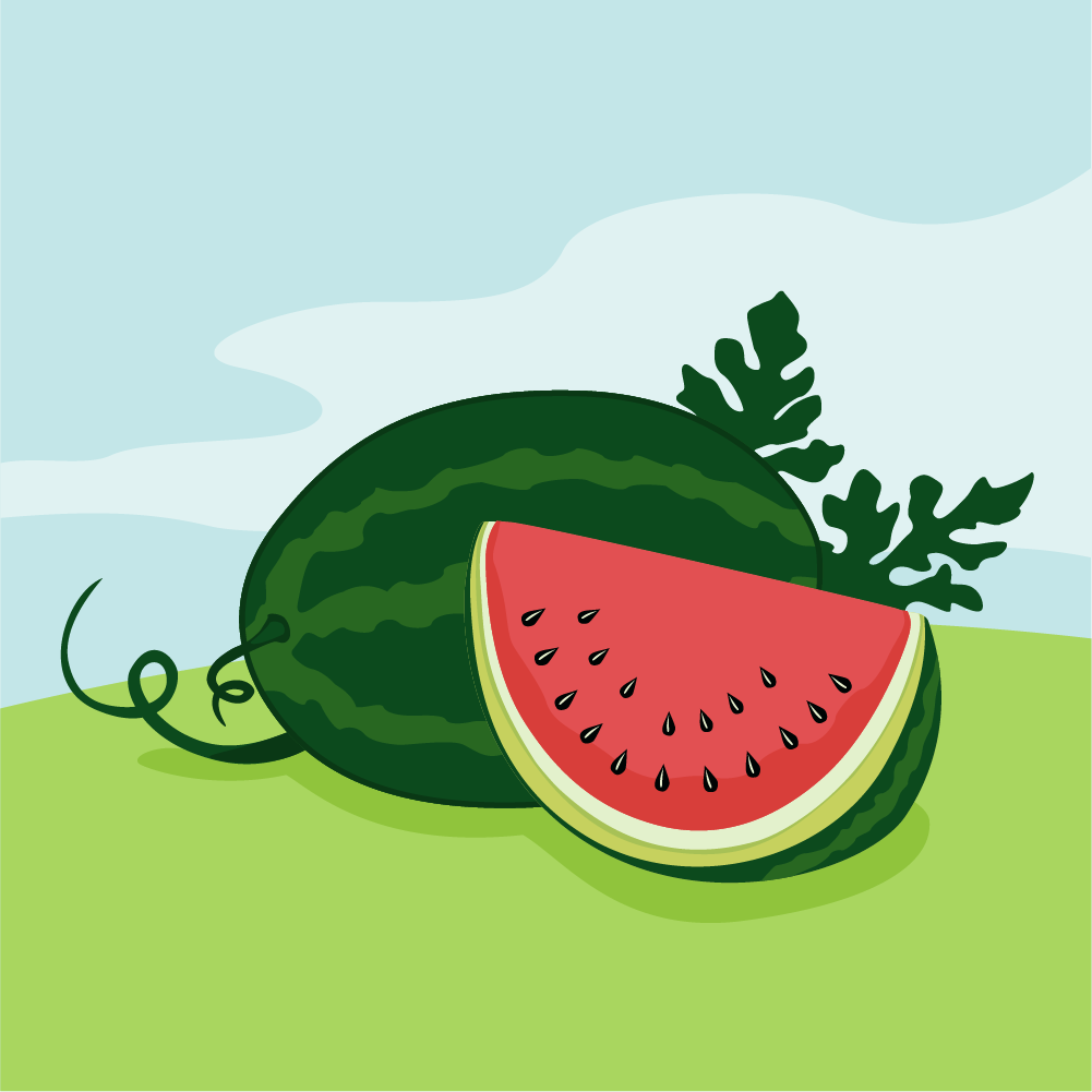 Vector illustration of Watermelon Photoshop brush