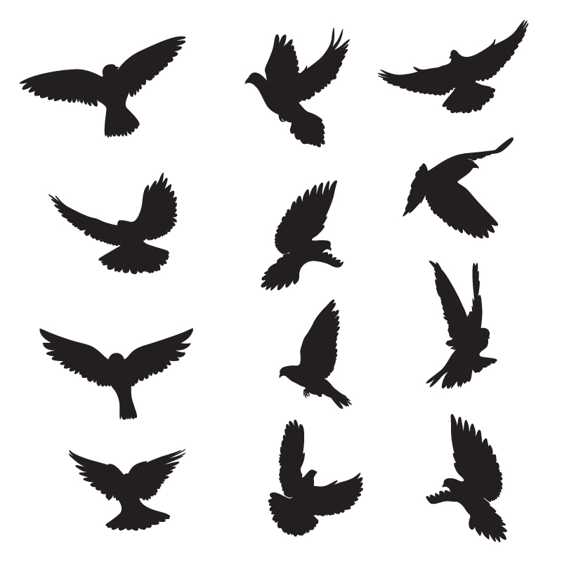 Set of silhouettes of doves Photoshop brush