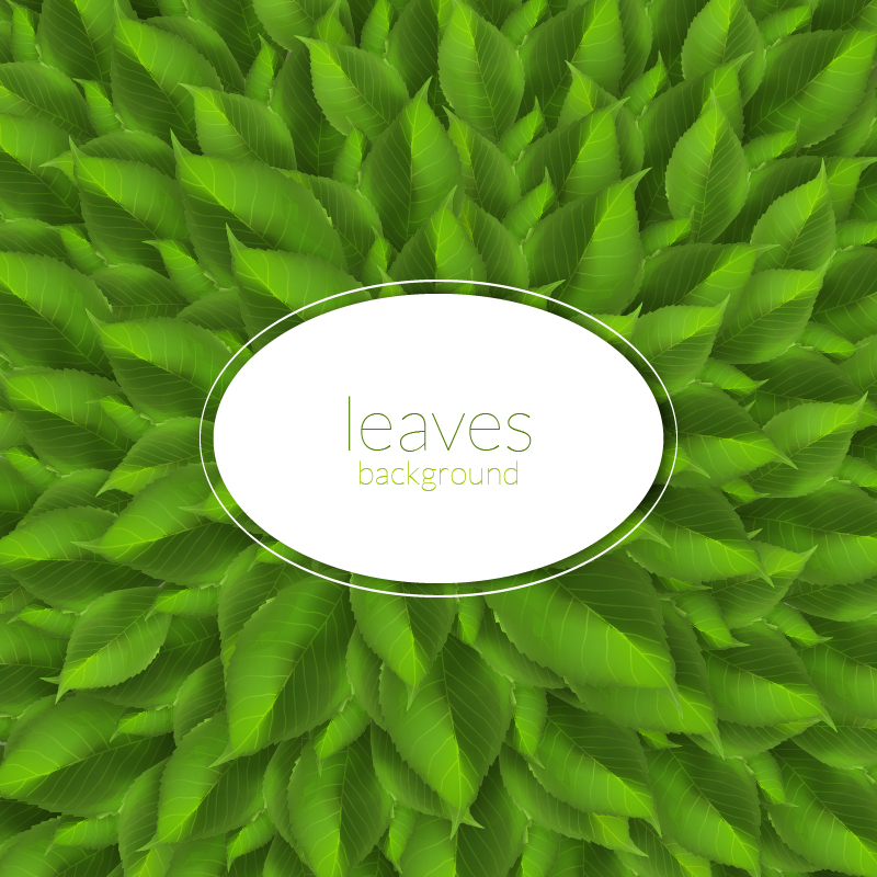 Green leaves texture with modern label Photoshop brush