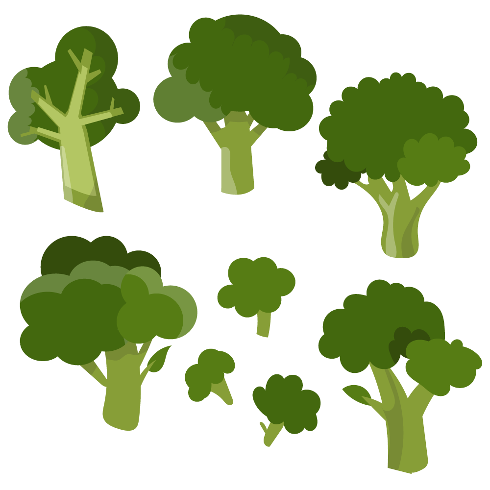 Fresh broccoli vector set Photoshop brush